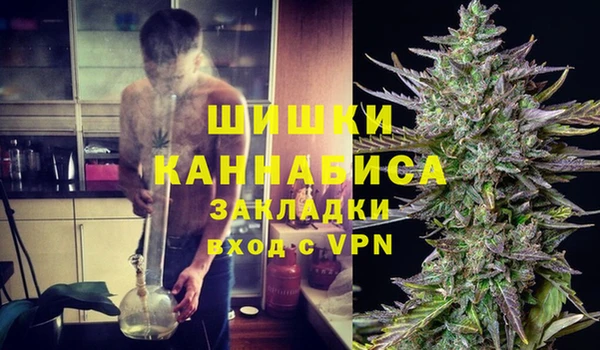 гашик Богородск