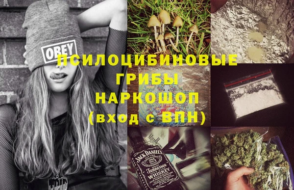 спиды Богородицк