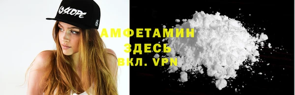 спиды Богородицк