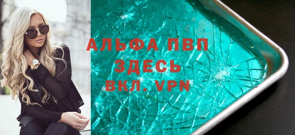 спиды Богородицк