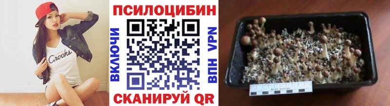 Псилоцибиновые грибы GOLDEN TEACHER  наркота  Кедровый 